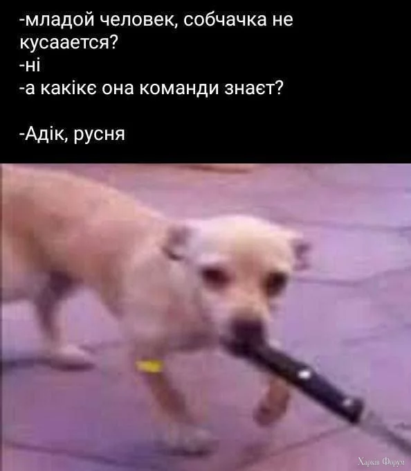 1748537364038.webp