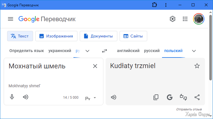 1748585750946.png