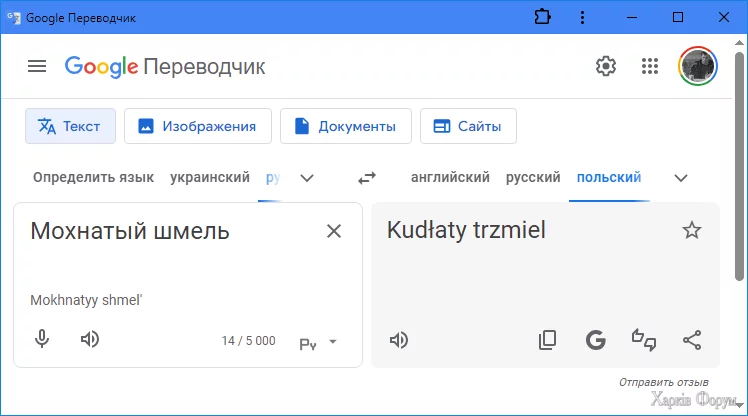 1748585750946.webp