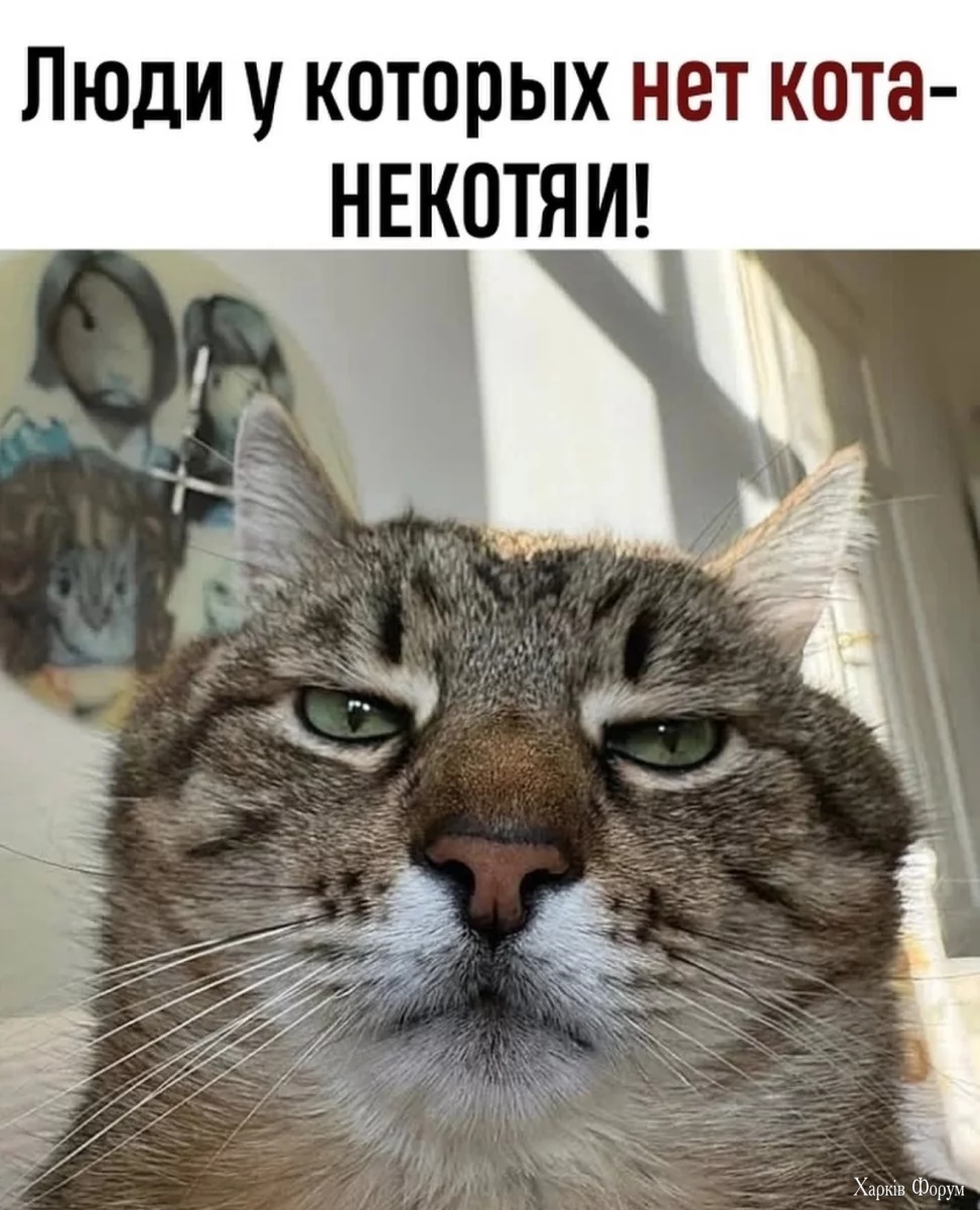 1748630062-mixnews-5dc87843938435636592b5f0a5d6c8f2.webp