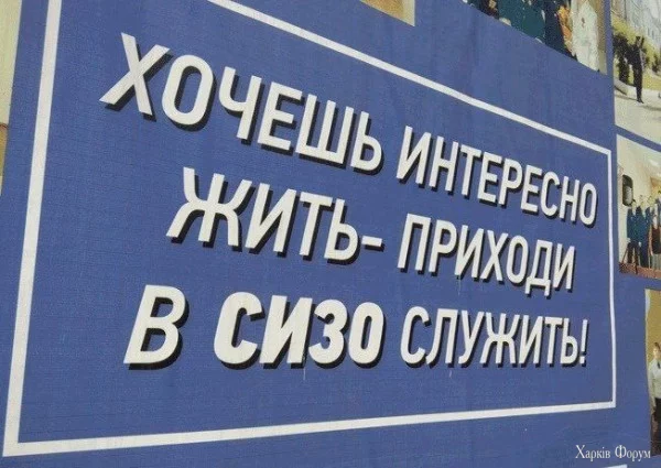 1748650599275.webp