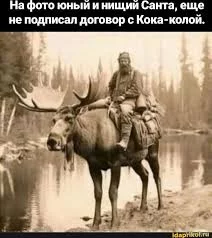 1748681358252.webp