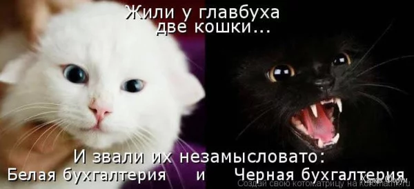 1748734714388.webp
