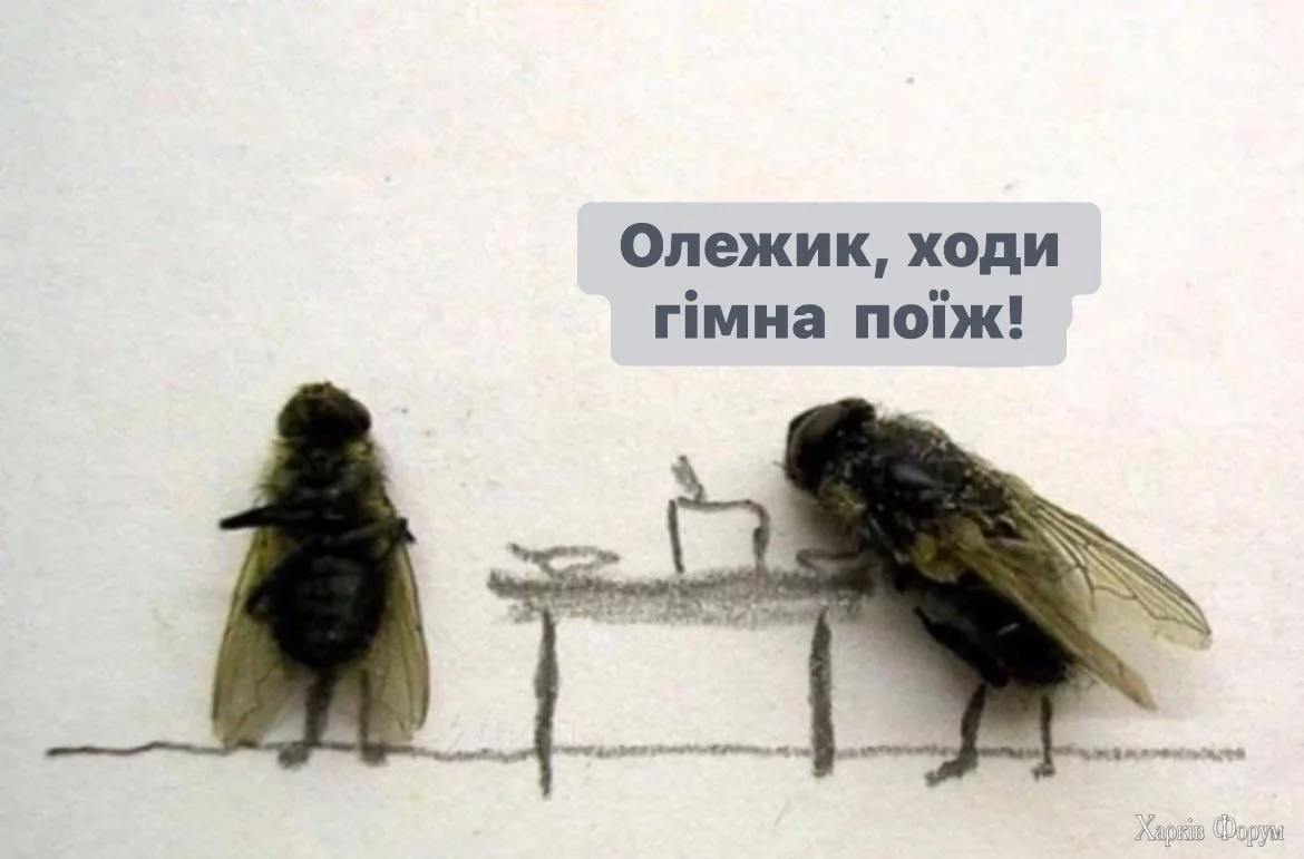 1748783725056.webp
