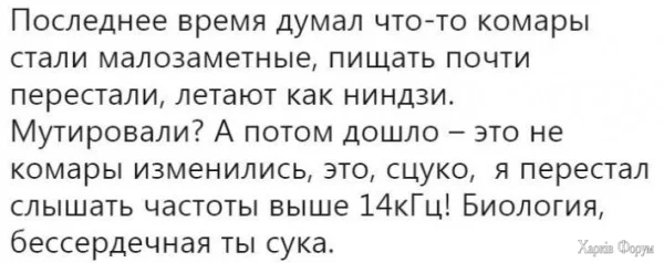 1748817201243.png