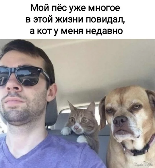 1748905698332.webp