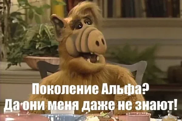1748989445310.webp