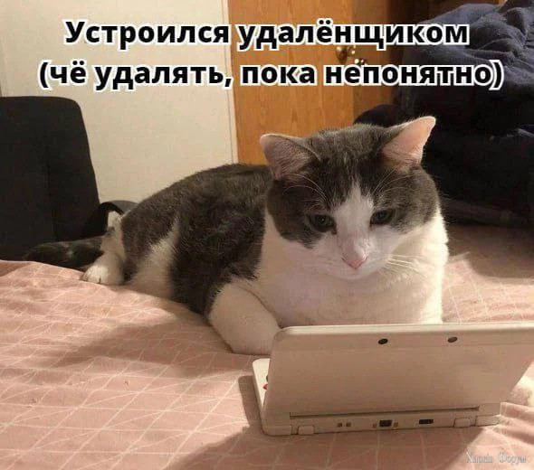 1748989522065.webp