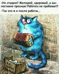 1749039063040.webp