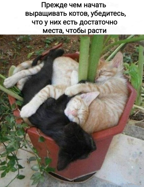 1749078015879.png