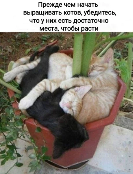 1749078015879.webp