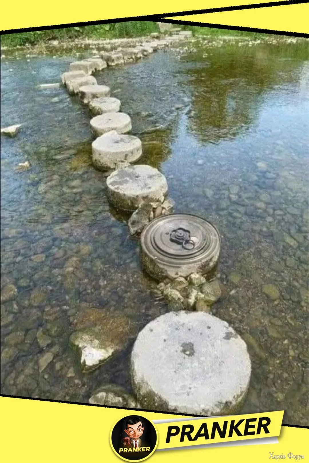 1749224706394.webp