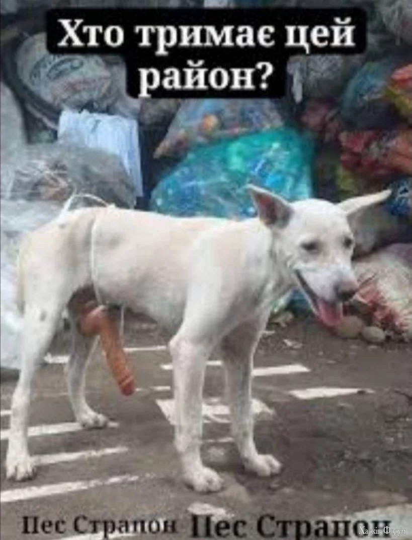1749328800885.webp