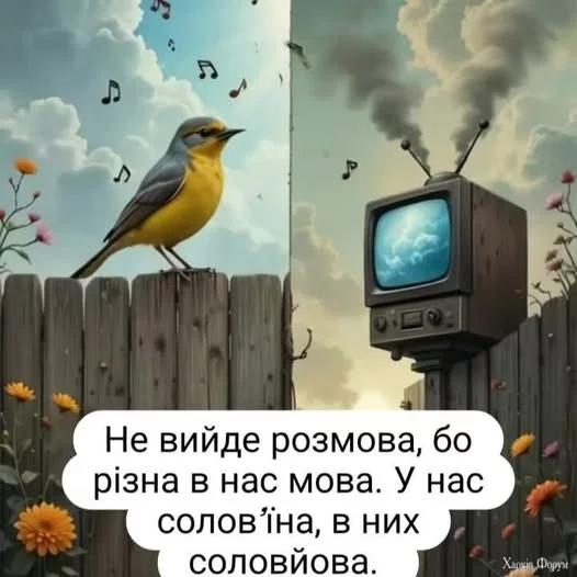 1749403616966.webp