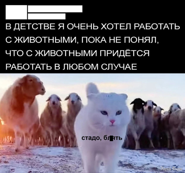 1749512369217.png