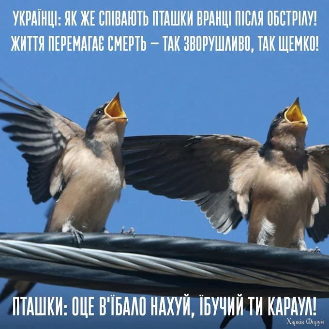 1749590830391.webp