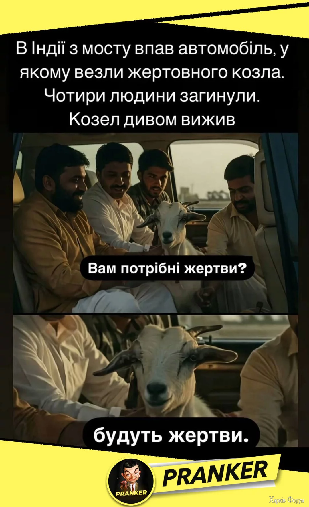 1749644493167.webp