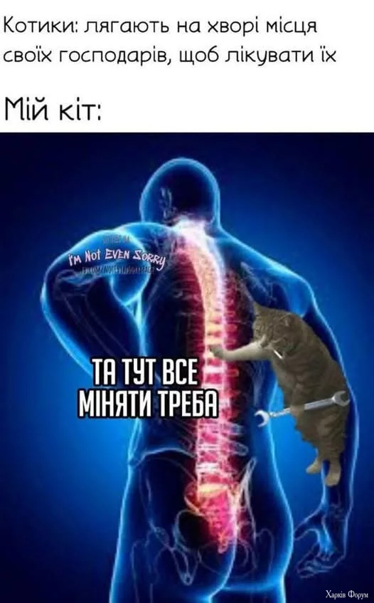 1749659078516.png