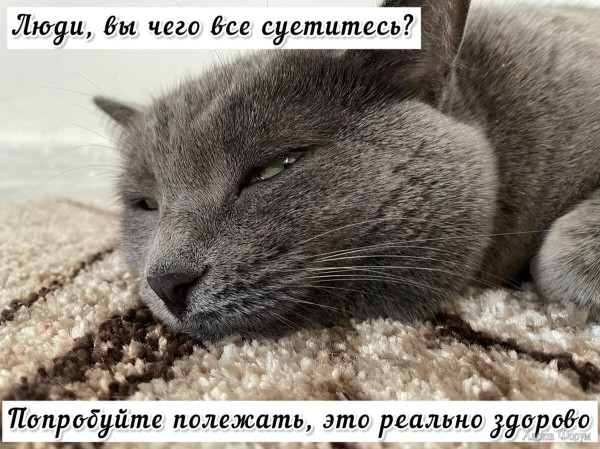 1749678529137.png