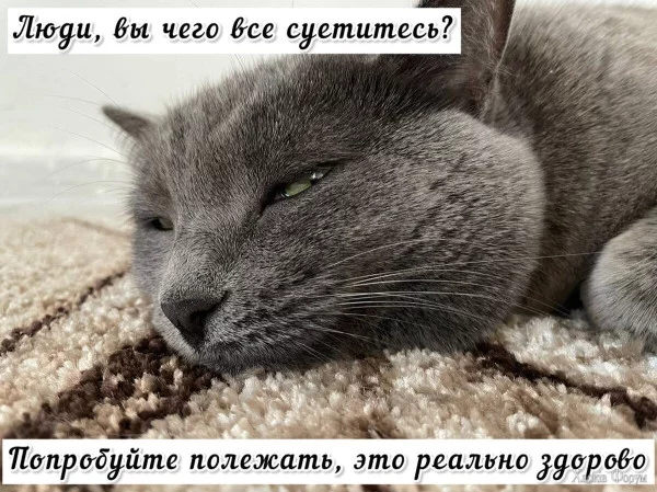 1749678529137.webp