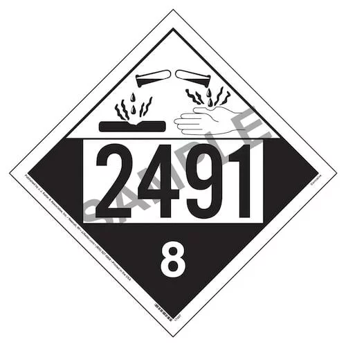 17497.webp