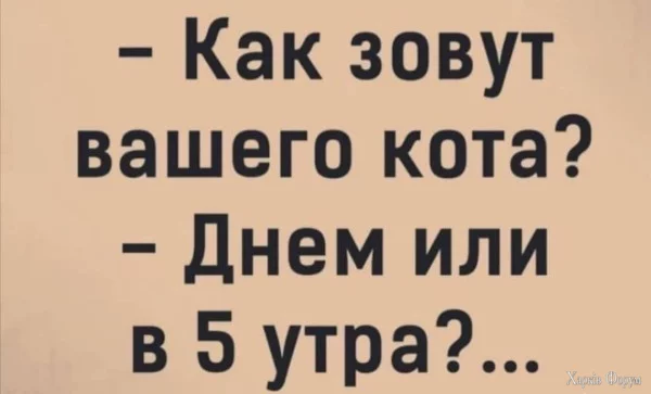 1749854623670.webp
