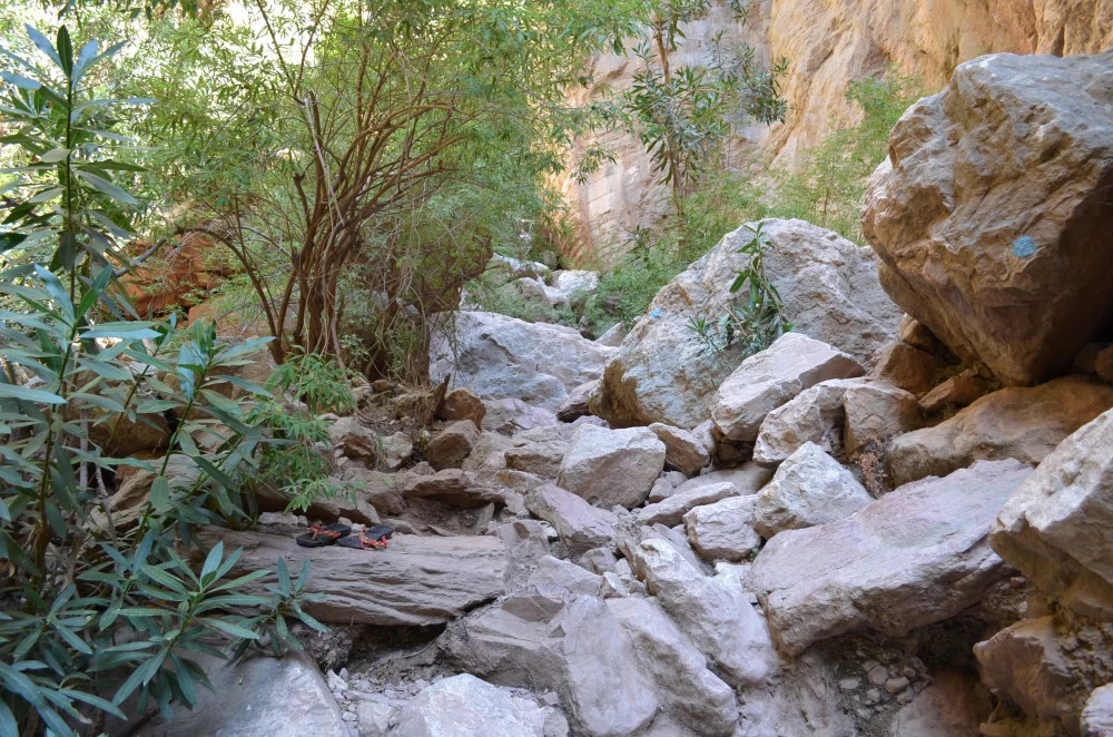 17498_1000.webp