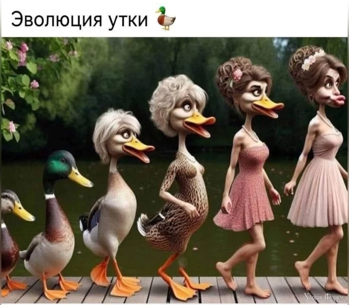 1749901378-mixnews-43d8be33dc00a33132c82adb9d0d3a54.webp