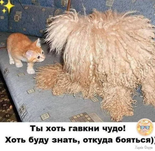1749941231706.webp