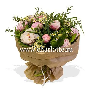 175.webp