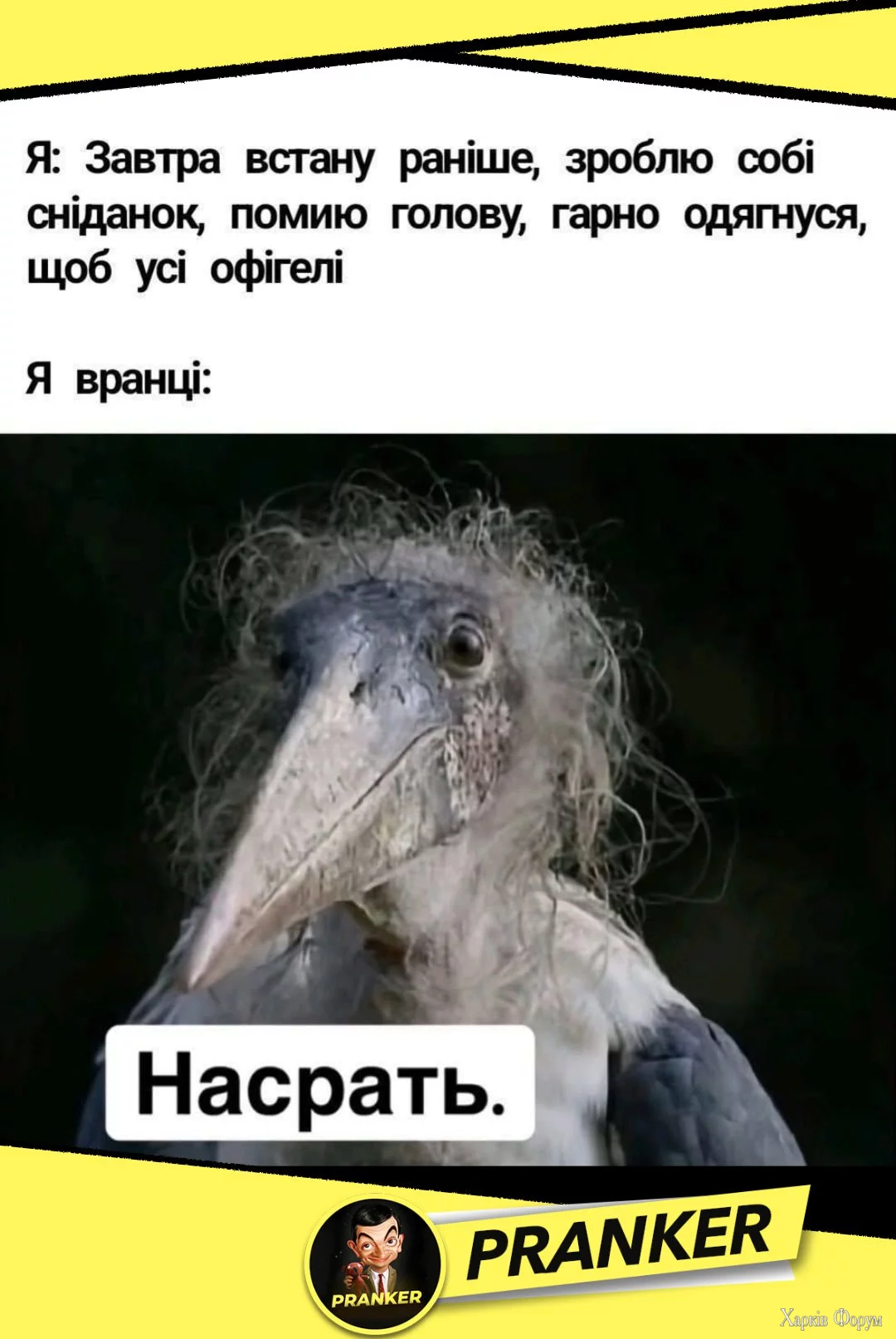 1750064191212.webp