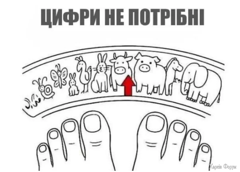 1750164825037.webp