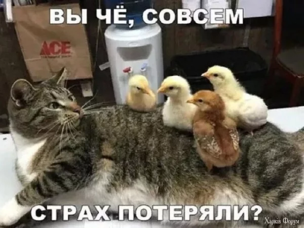 1750285058719.webp