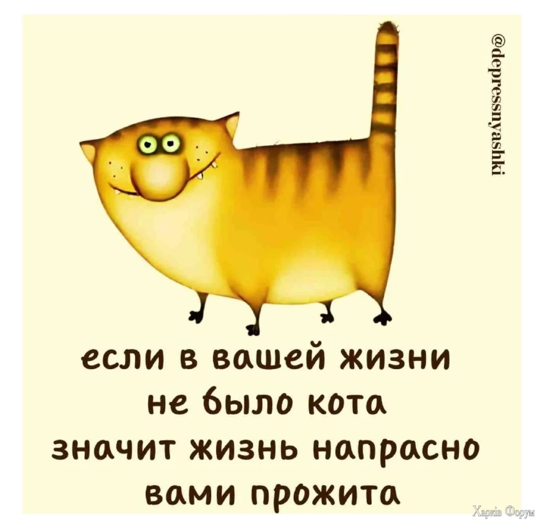 1750370279730.png