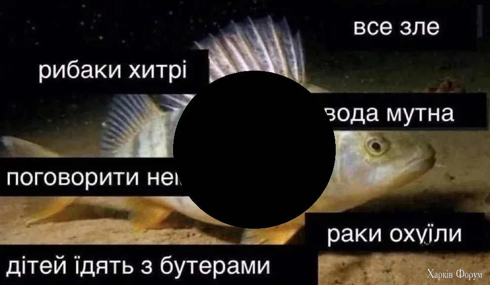 1750378243029.webp