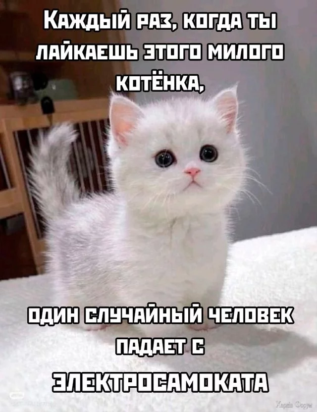 1750458637266.webp