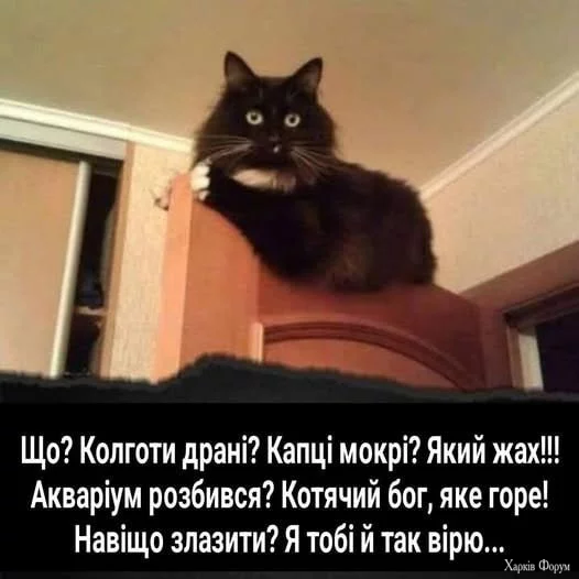 1750581064524.png