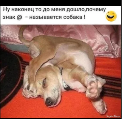 1750701150414.webp