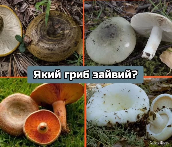 1750742817594.png