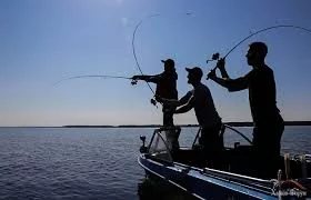1750787518120.webp