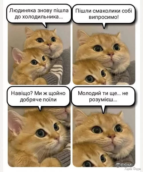 1750788157790.webp