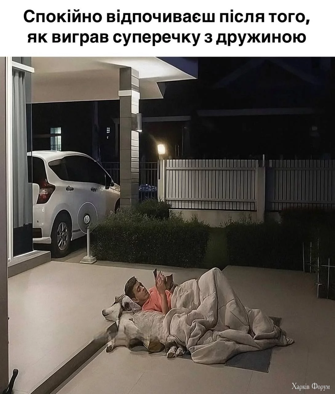 1750789087360.webp