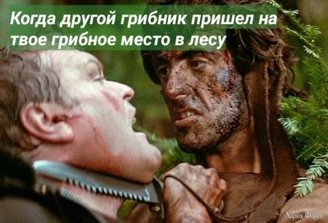 1750837146-mixnews-248b337149e5981cd3a63b7641dd1d33.webp