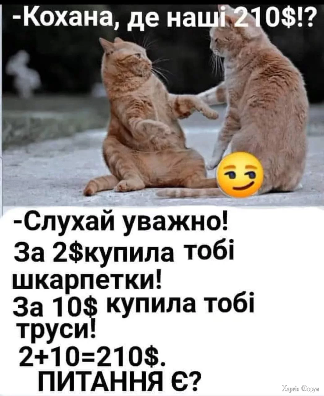 1750873248116.webp