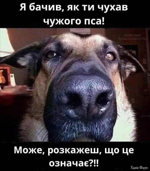 1750922902701.webp