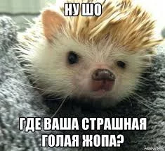 1750933999472.webp