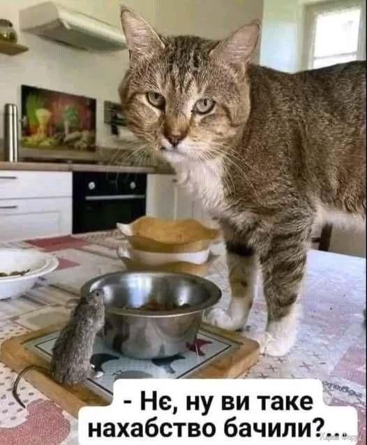 1750948070802.png