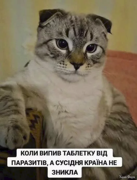 1750948597797.webp