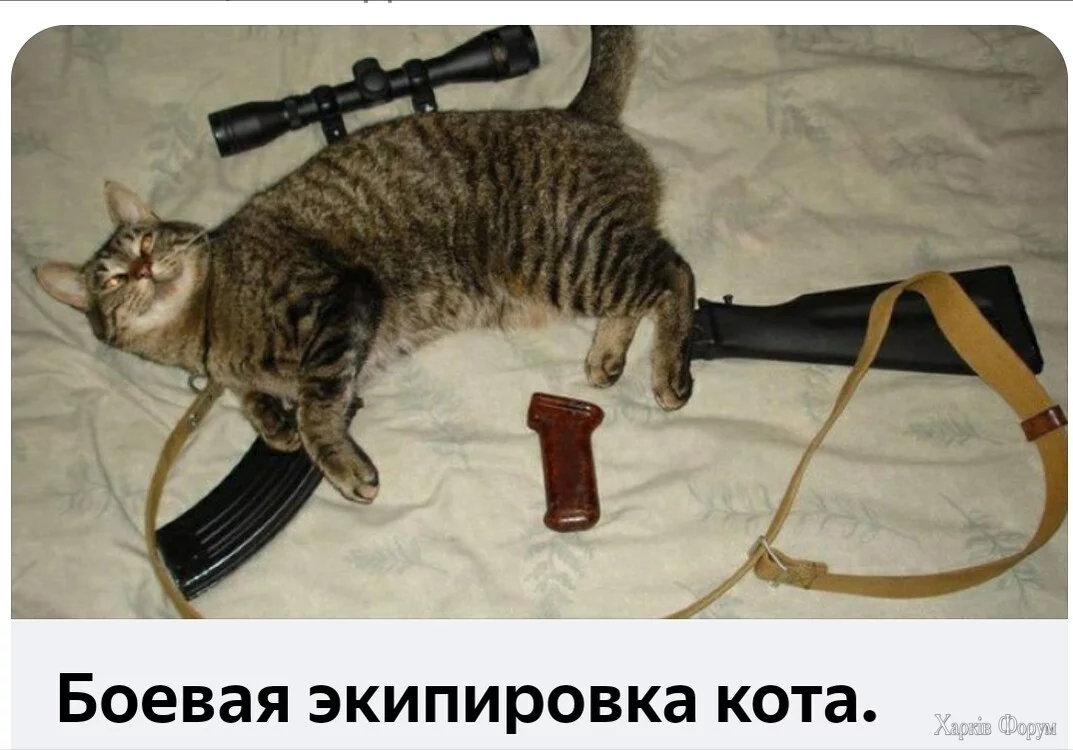 1750980760175.webp
