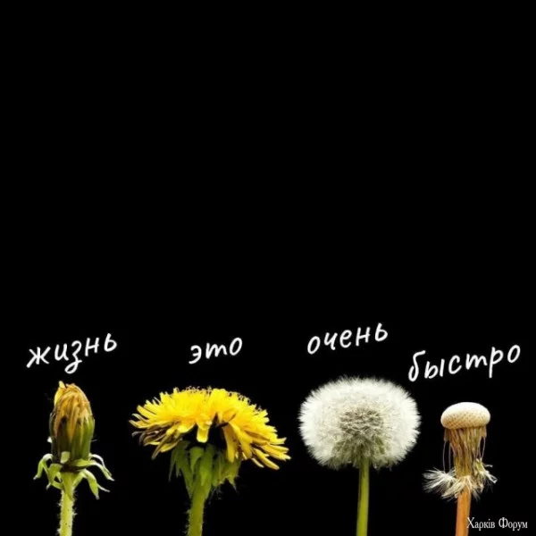 1751065163685.webp